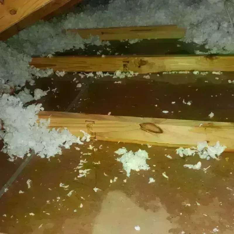 Attic Water Damage in Roseboro, NC